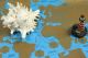 Скретч-карта мира "Подарочная Золото/Синий" А2 (59х42см) Синий тубус